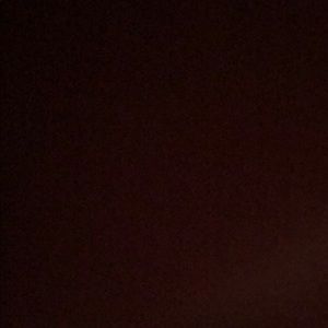 Meet your Posher, Precious